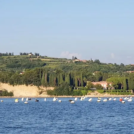 Saria * Струньян