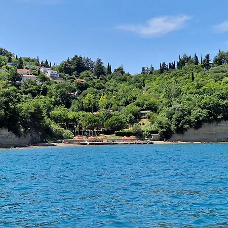 Апартаменты Saria *