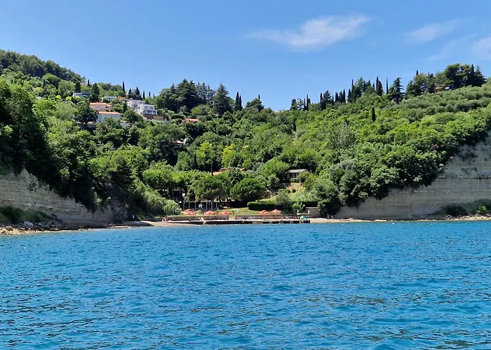 Διαμέρισμα Saria *